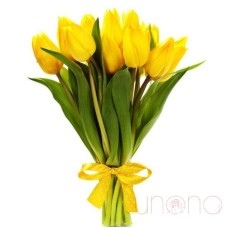 Wonderful Tulips Bouquet (Deluxe)